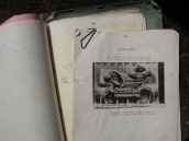 Photo of 'As a Tale that is Told' - missing folk chapter